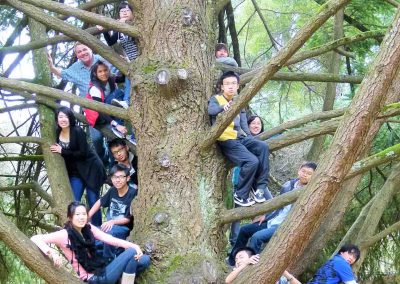 melbourne-students-in-tree